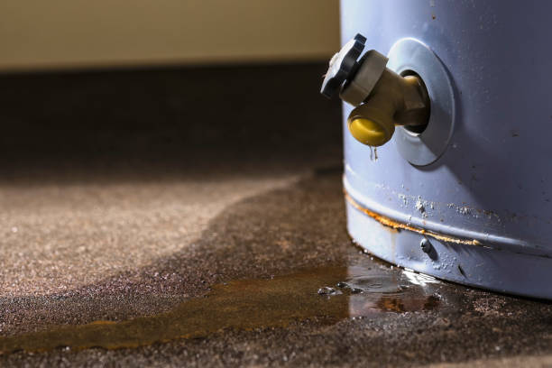 Best Water damage restoration insurance claims  in Fowler, MI
