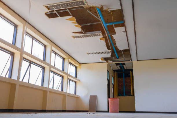 Best Residential water damage restoration  in Fowler, MI