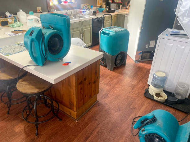  Fowler, MI Water damage restoration Pros