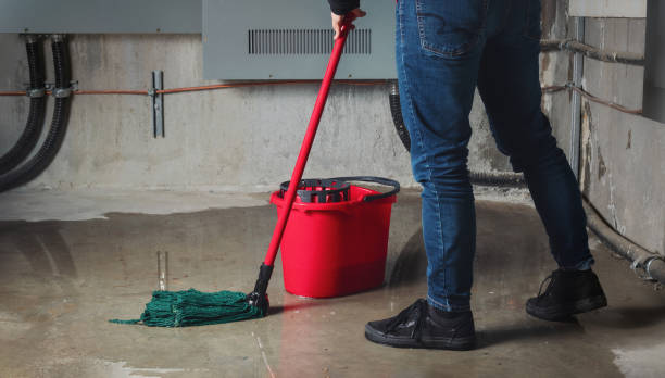 Best Commercial water damage restoration  in Fowler, MI