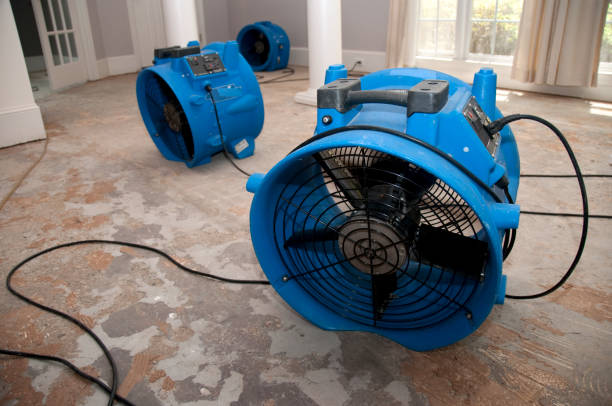 Best Ceiling water damage repair  in Fowler, MI
