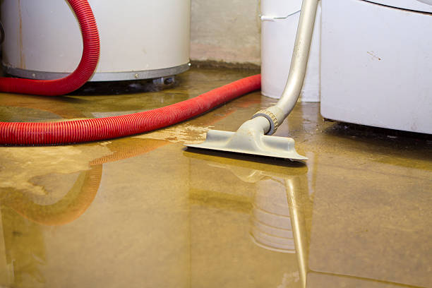 Best Professional water damage repair  in Fowler, MI