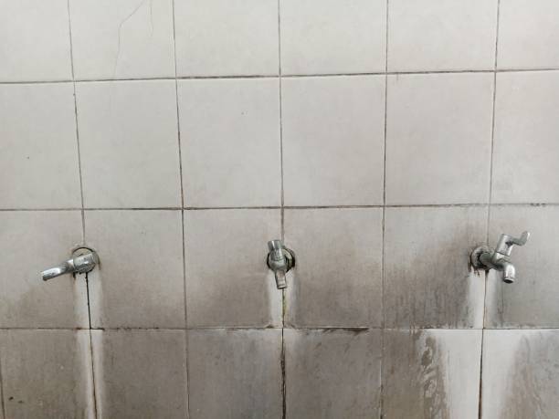 Best Emergency water damage restoration  in Fowler, MI
