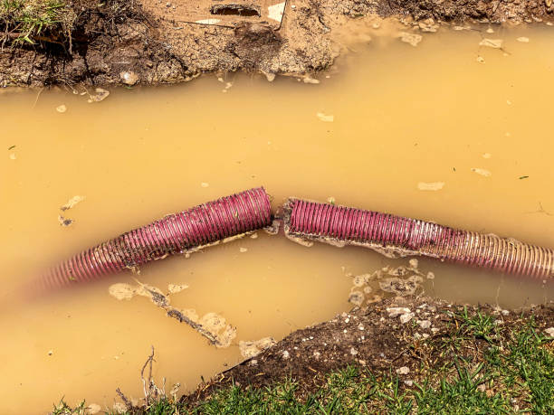 Best 24-hour water damage restoration  in Fowler, MI