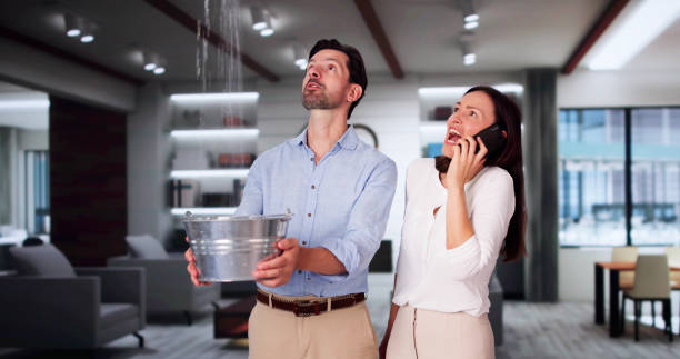 Best Water damage restoration near me  in Fowler, MI