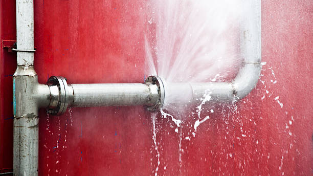 Best Water damage restoration company  in Fowler, MI